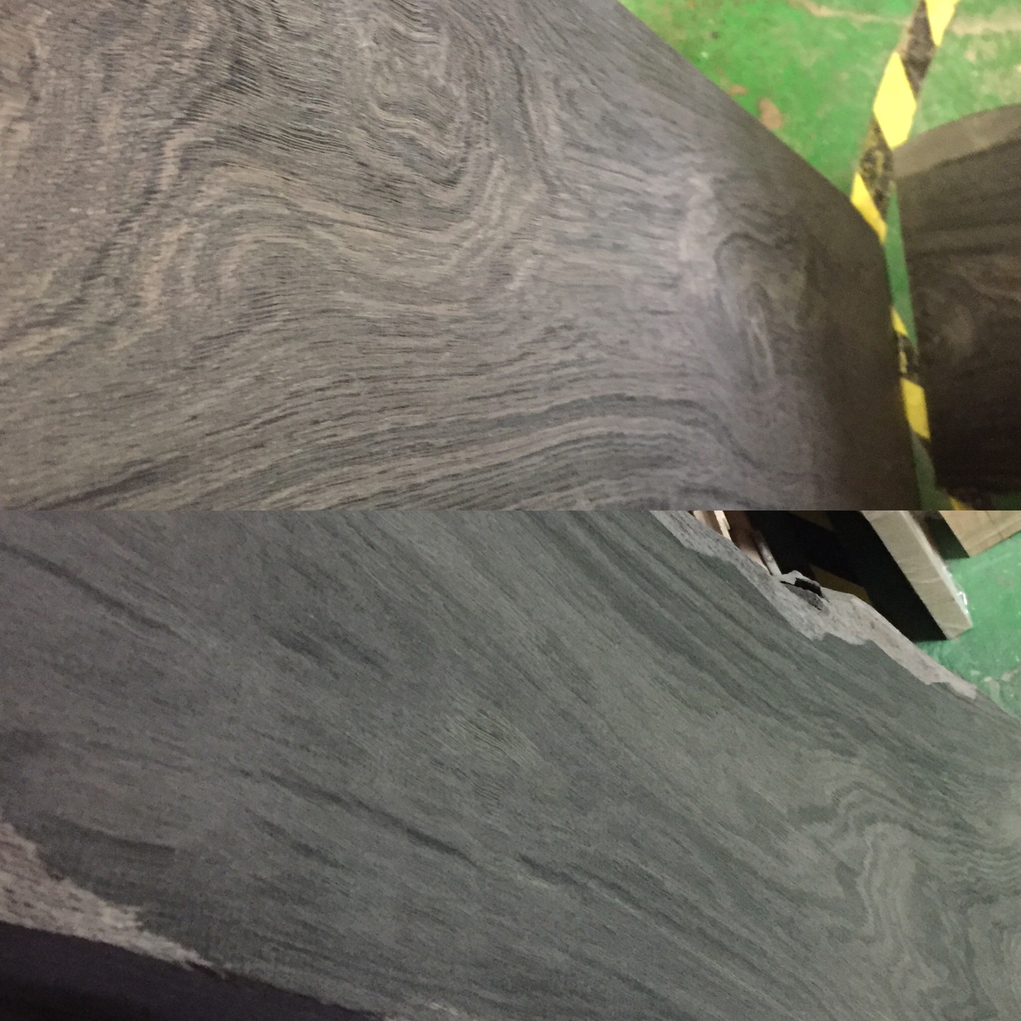 Czarny dąb na zamówienie Warszawa