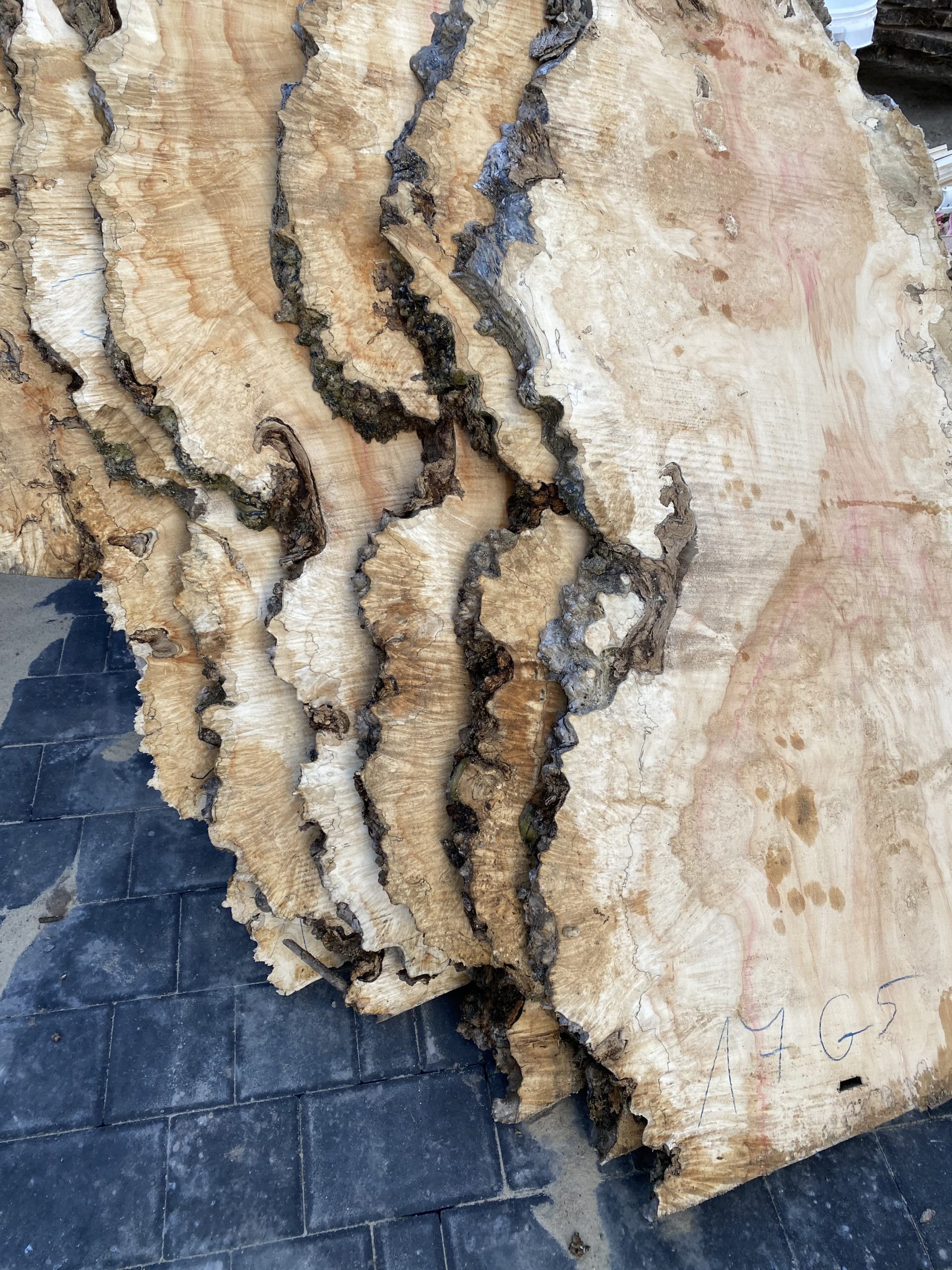 Tarcica artystyczna na wymiar – unikalne kształty drewna.