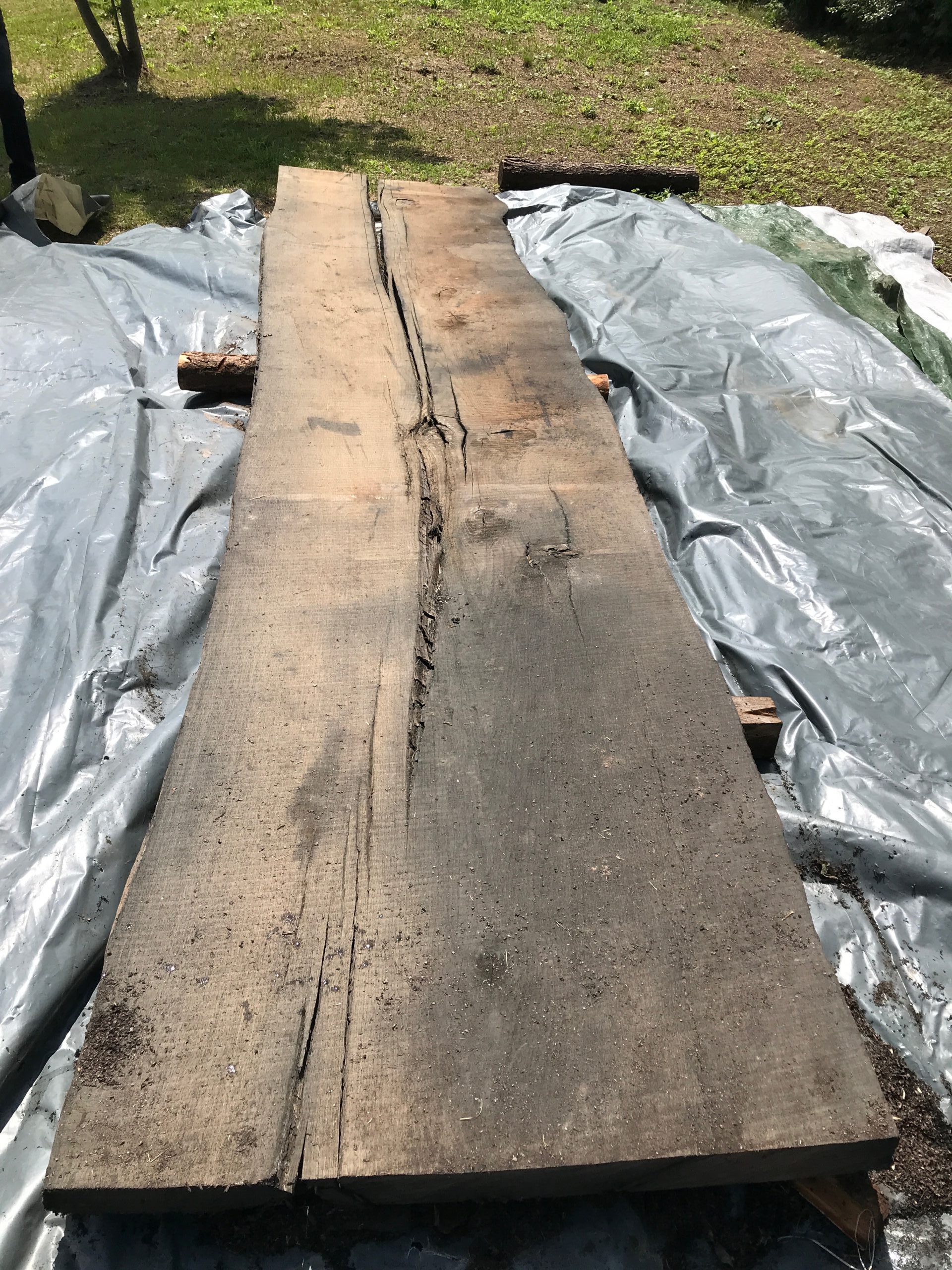 Tarcica czarny dąb sucha – drewno klasy premium.