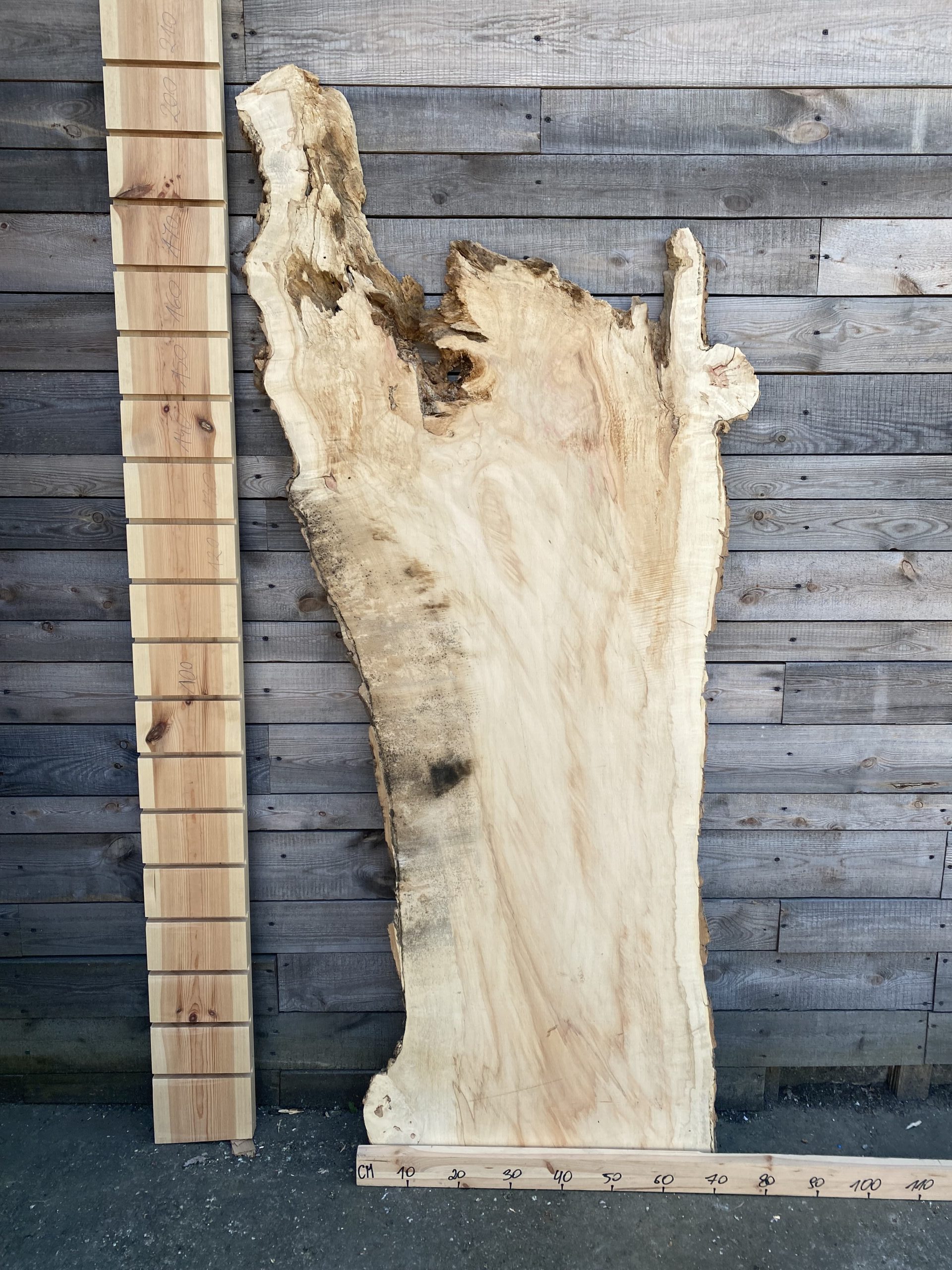 Tarcica jaworowa sucha – twarde drewno.