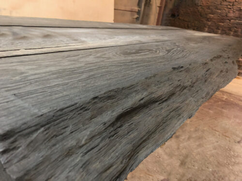 Unikatowy czarny dąb – rzadkie drewno