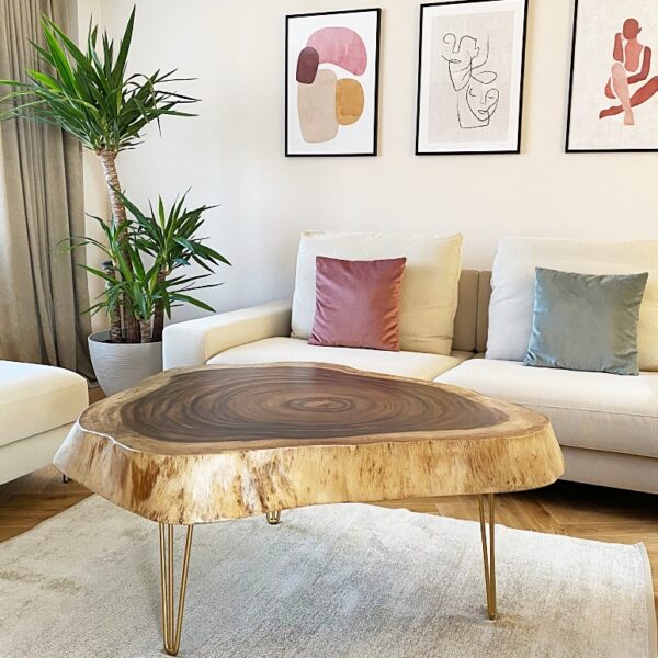 Pień – elegancki stolik kawowy z drewna suar z Tajlandii